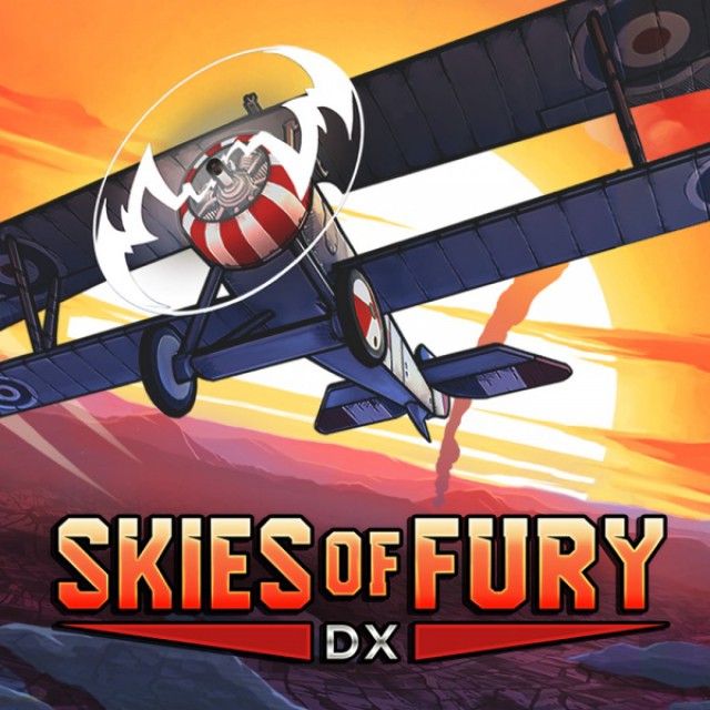 Cover: Skies of Fury DX